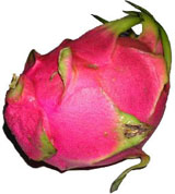 dragon fruit