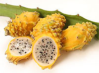 Pitaya