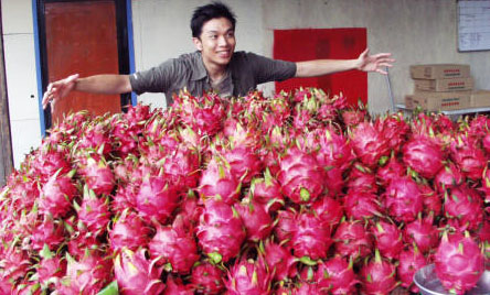 dragon fruit on the market