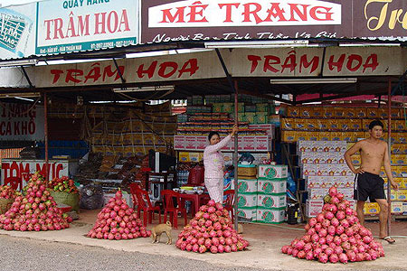 marketplace of dragon fruit